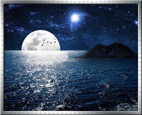 Magical Night